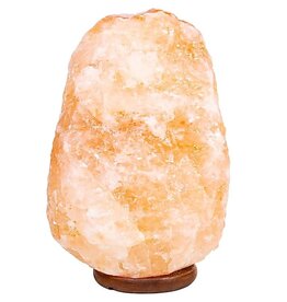 Terra Vita Lampe en Cristal de Sel (6-10 kg)