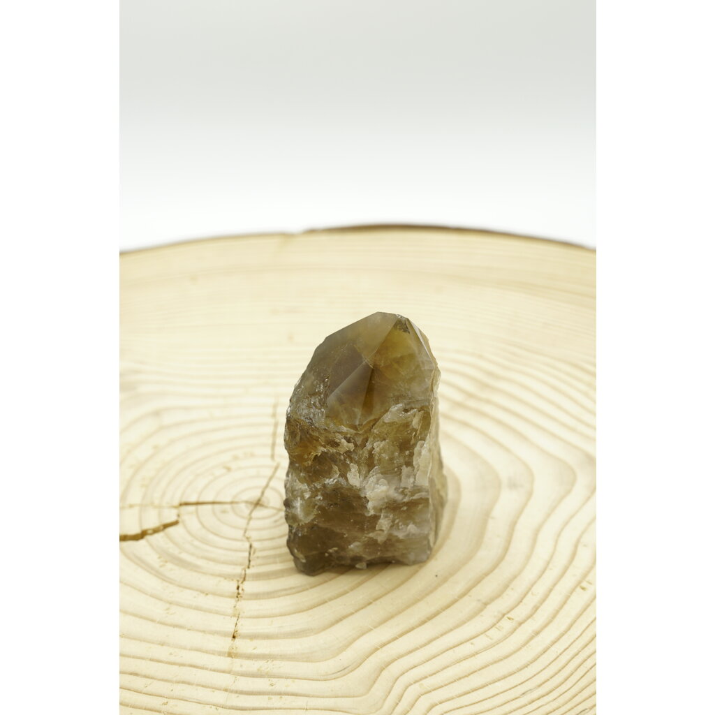 Terra Vita Citrine Pointe (10cm)