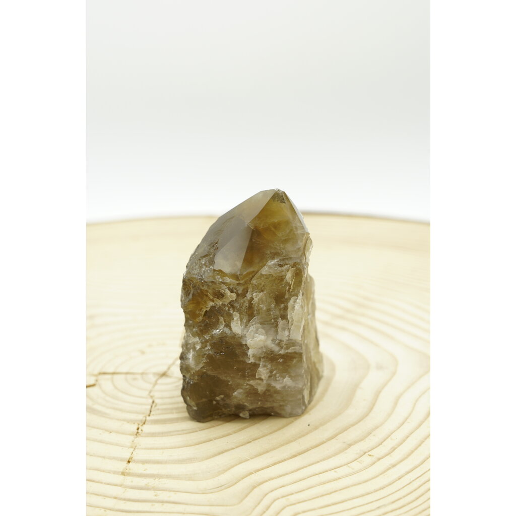 Terra Vita Citrine Pointe (10cm)