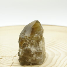 Terra Vita Citrine Pointe (10cm)