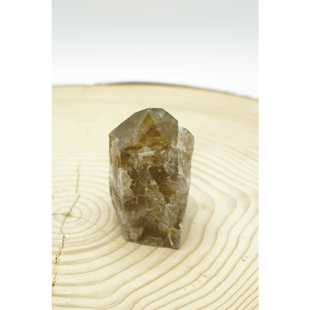 Terra Vita Citrine Pointe (10cm)