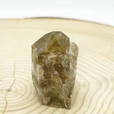 Terra Vita Citrien Punt (10cm)