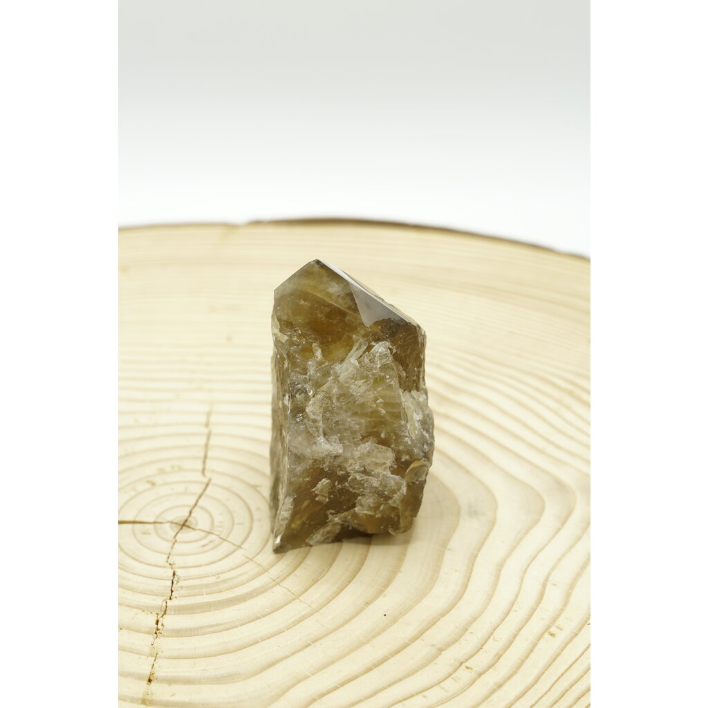 Terra Vita Citrine Pointe (10cm)
