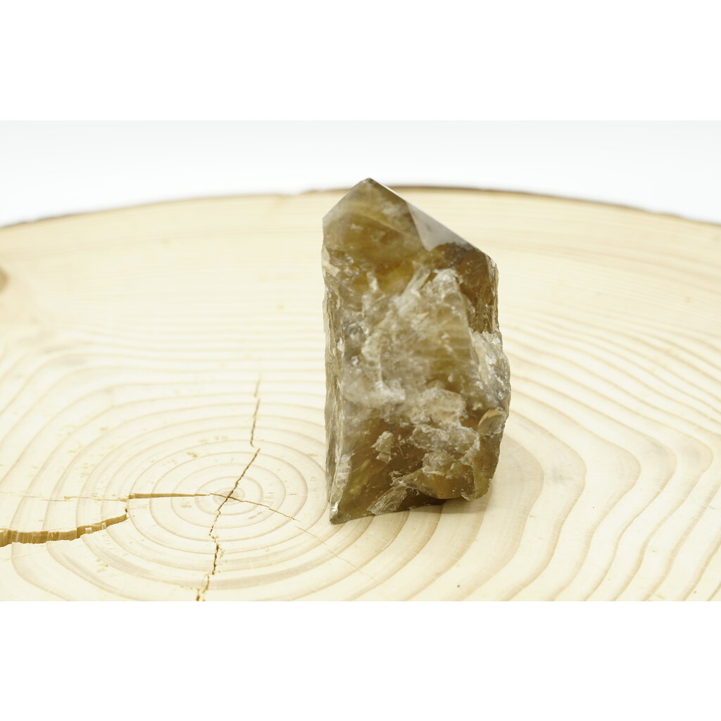 Terra Vita Citrine Pointe (10cm)
