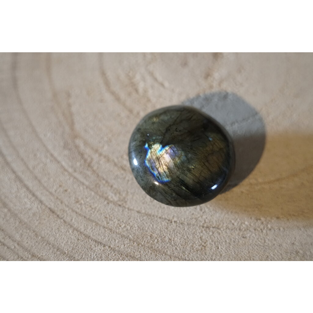 Terra Vita Labradorite Pierre de Palmier (5 cm)