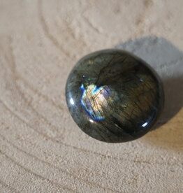 Terra Vita Labradorite Pierre de Palmier (5 cm)