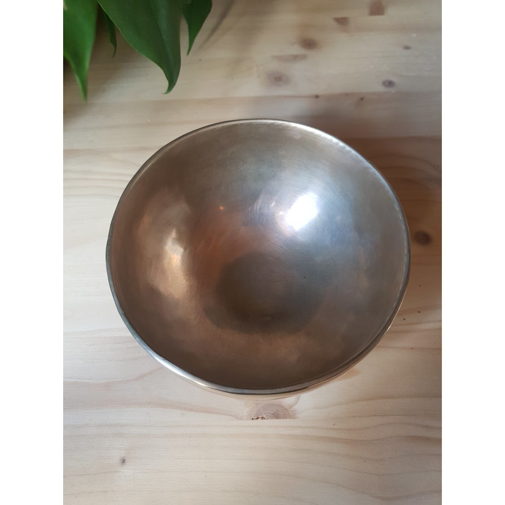 Terra Vita Singing Bowl (1027 grams)