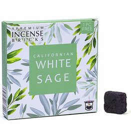 Aromafume Briques d'Encens | Sauge Blanche (9pcs)