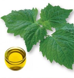 De Groene Linde Huile Essentiele | Patchouli (30 ml)