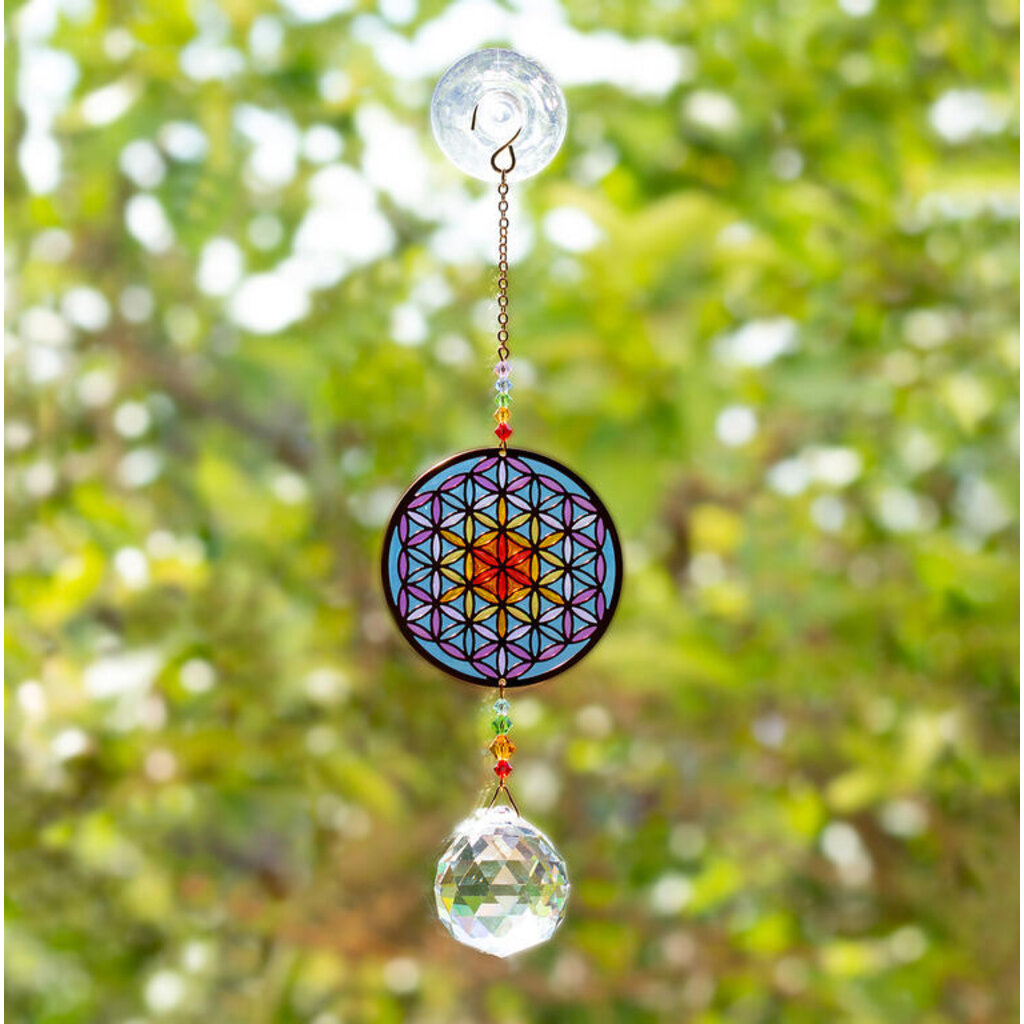 Terra Vita Sphère de Cristal Feng Shui | fleur de Vie