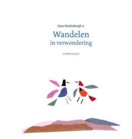 Hans Moolenburgh Sr. Wandelen in verwondering (NL)