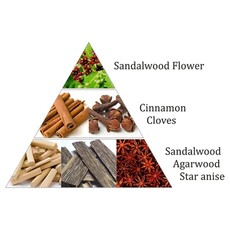 Aromafume Icense Bricks  | Royal Sandal (9pcs)