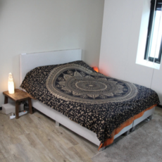 Terra Vita Mandala Wandkleed (Gold Print)