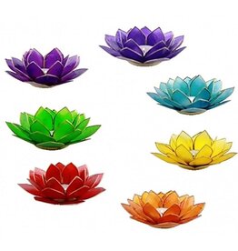 Terra Vita Lumière d'ambiance Lotus