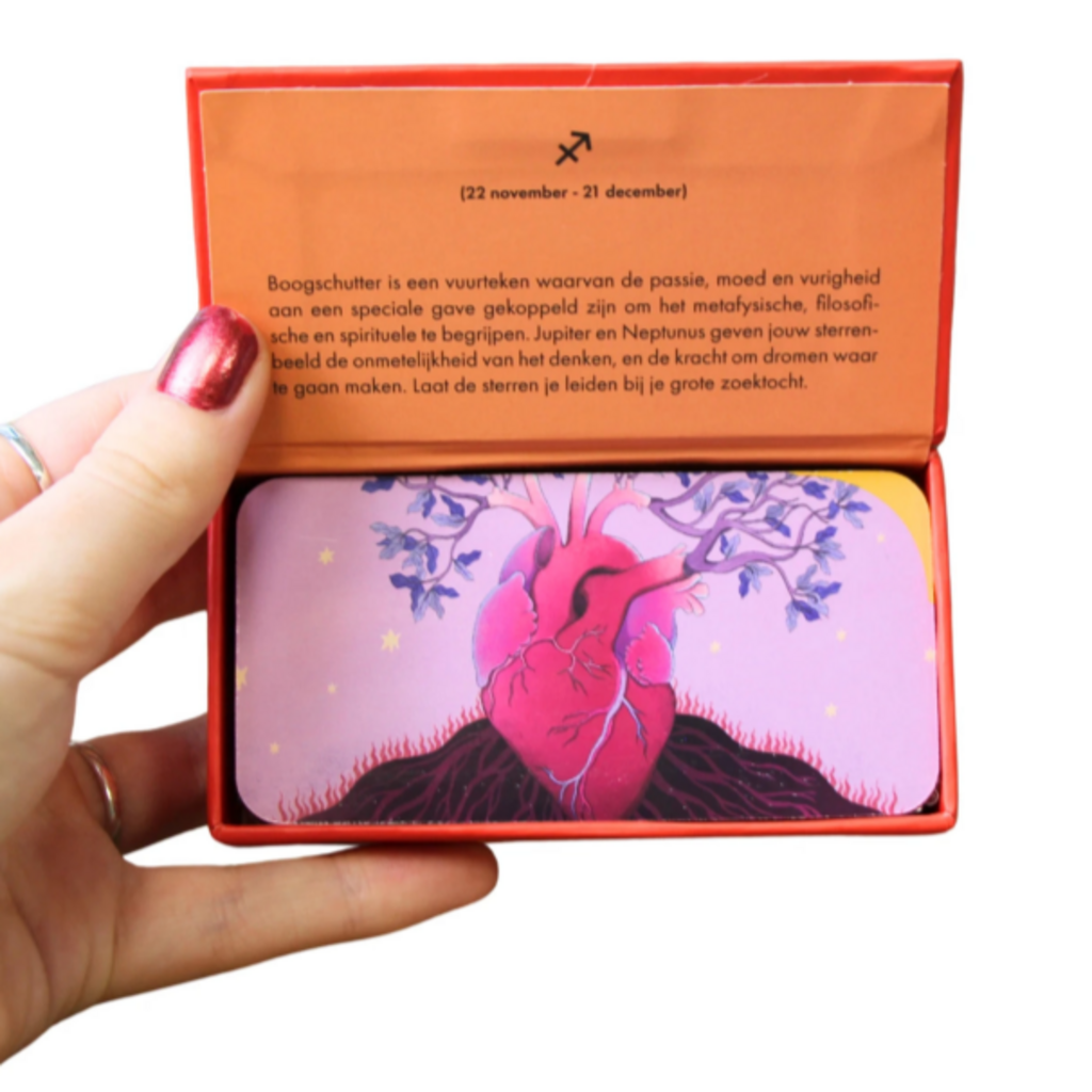 REBO Astro pocket Boogschutter (NL)