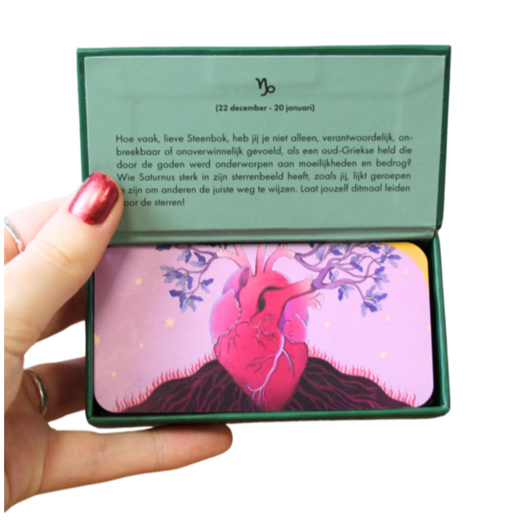 REBO Astro pocket Steenbok (NL)