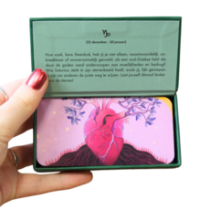 REBO Astro pocket Steenbok (NL)