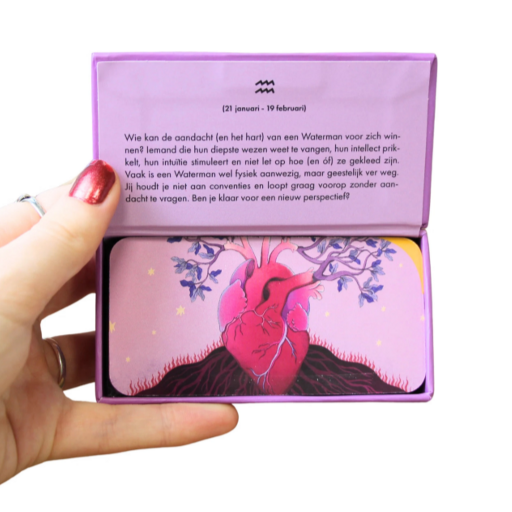 REBO Astro pocket Waterman (NL)