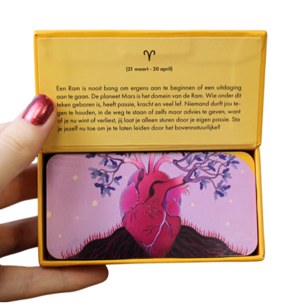 REBO Astro pocket Ram (NL)