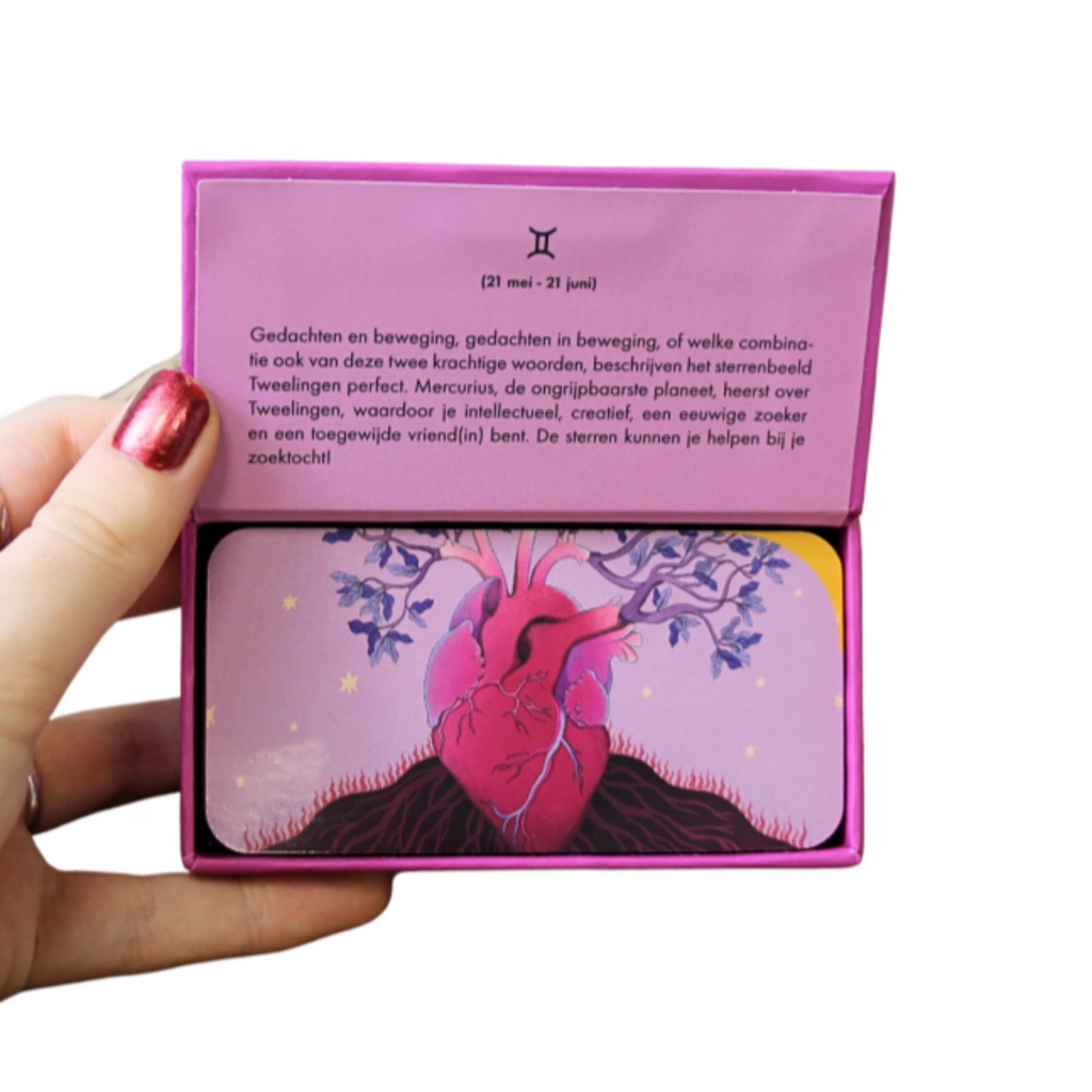 REBO Astro pocket Tweelingen (NL)