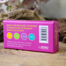 REBO Astro pocket Tweelingen (NL)