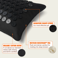 Shakti Mat Premium Acupressure Pillow (level2) (Black)