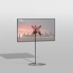 Cavus TV Standaard Sphere 120 - VESA 300x300 RVS Cavus TV Standaard Sphere 120 - VESA 300x300 RVS