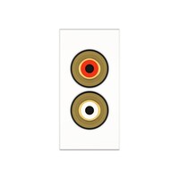 2 RCA kabel + plug module