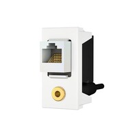 Cat-6 / 3.5mm Audio Module