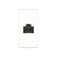 Cat 6 (RJ45) module