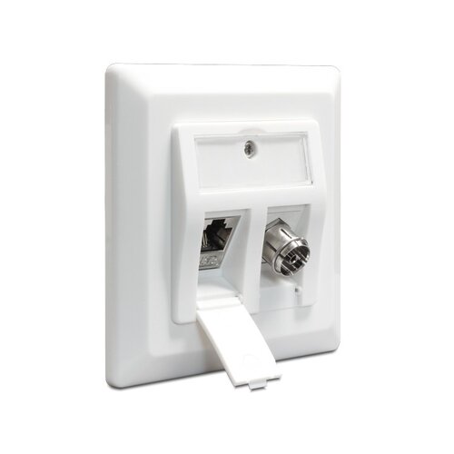 DeLock Keystone wand frame (wall outlet)