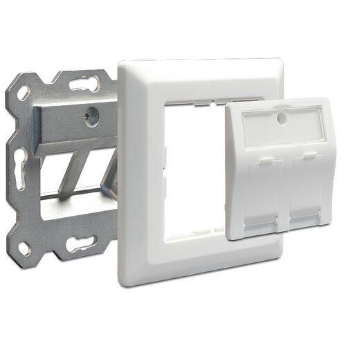 DeLock Keystone wand frame (wall outlet)