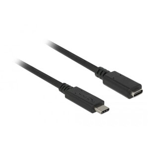 DeLock USB C male - female verlengkabel (USB 3.1) - 2.0 meter