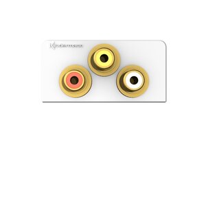Kindermann 3 RCA video + audio L/R module