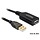 DeLock USB 2.0 Actieve verlengkabel-20m