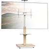 TV Standaard
