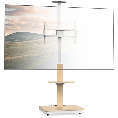 TV Standaard