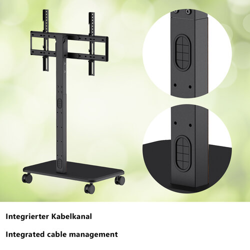 MyWall TV Standaard verrijdbaar HP 126 L