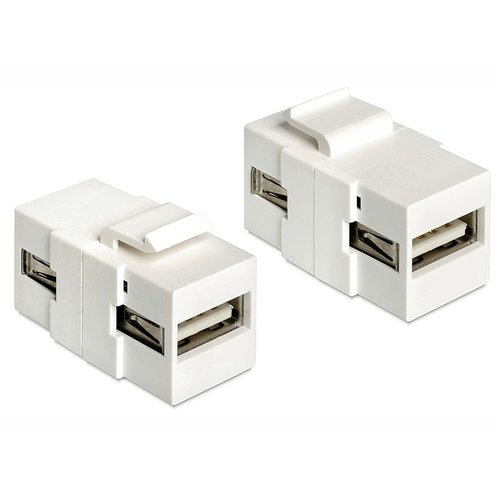 DeLock Keystone module USB 2.0 - USB A female - USB A female - Wit