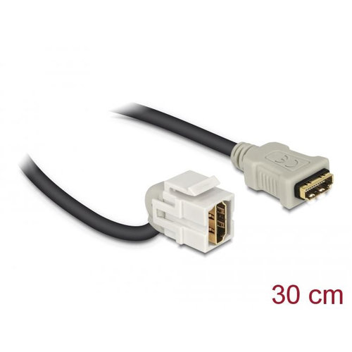 DeLock Keysteone HDMI Female - HDMI female 110° (30 cm)