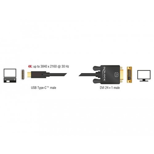 DeLock USB Type-C™ male - DVI-D 24+1 male kabel (DP Alt Mode) 4K @30 Hz - 3.0 meter