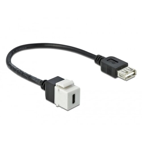 DeLock Keystone USB 2.0 C - USB A (met kabel)
