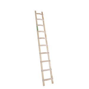 Van Eldik - Dakladder