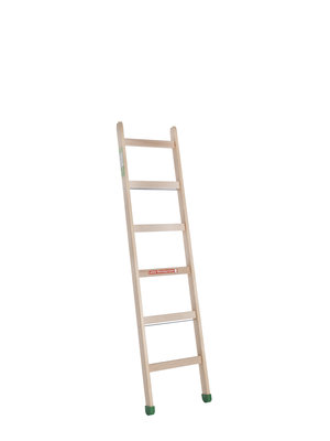 Van Eldik Ladders Duitse enkele ladder