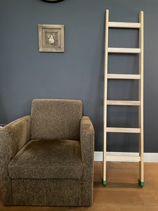 Van Eldik Ladders Decoratieve huiskamerladder (180cm)