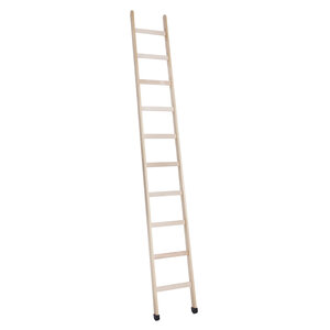 Ladder van 3 meter