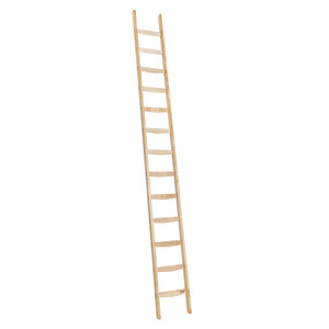 Ladder 5 meter (19 sporten)