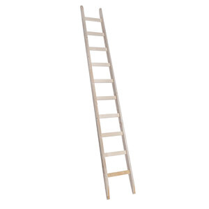 Ladder van 3 meter