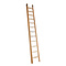 Ladder van 6 meter