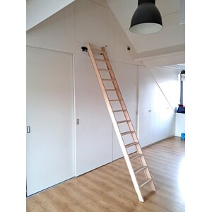 Bibliotheektrap  beuken